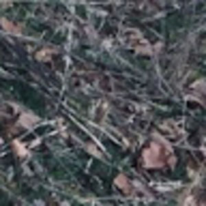 Meet your Posher, Gabe